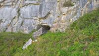 The entrance to K2 Cave, Kilcorney. Photo: L.J. Wilson