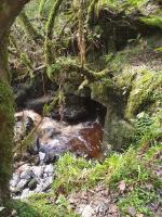 Polldonough; the main sink of the Coolagh River. Photo: Dan Runcan.